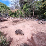 Casa de Condomínio à Venda em Itupeva/SP – Cafezal VI Natureza, conforto e lazer completo em um só lugar!
