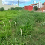 Terreno com 250,00 m² .