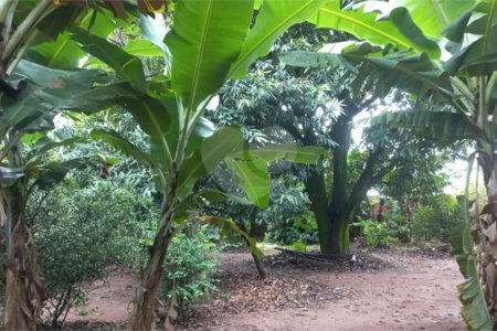 Chácara para venda na cidade de Ibaté/SP
