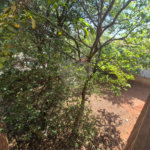 Casa à venda – Bairro Santa Rosa – Piracicaba/SP