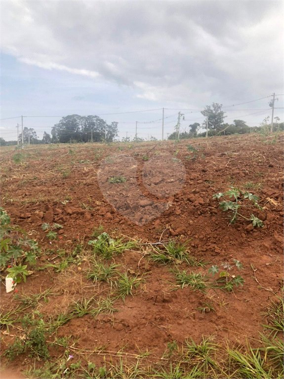 Terreno no Parque dos Pássaros .