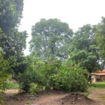 Chácara para venda na cidade de Ibaté/SP