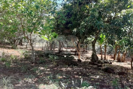 Sitio São João - Km 258