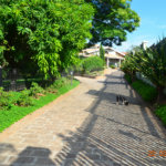 Linda casa para venda em Indaiatuba/SP com pomar.