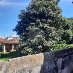 Terreno para venda na Rua 13 de maio