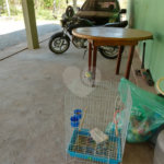 Chácara à venda com 4 quartos em Área Rural de Louveira, Louveira, SP