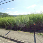 ÁREA INDUSTRIAL Á VENDA ÀS MARGENS DA ROD. PRES.DUTRA/GUARAREMA
