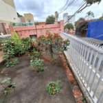 Casa Térrea à venda com 5 quartos, sendo 3 suítes,  em Vila Mazzei, São Paulo, SP