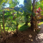 Casa Térrea à venda com 4 quartos, sendo 1 suíte,  em Brooklin Velho, São Paulo, SP