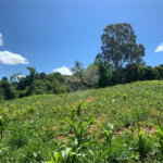 Área de Terra à venda em Cristóvão, Araçoiaba da Serra, SP