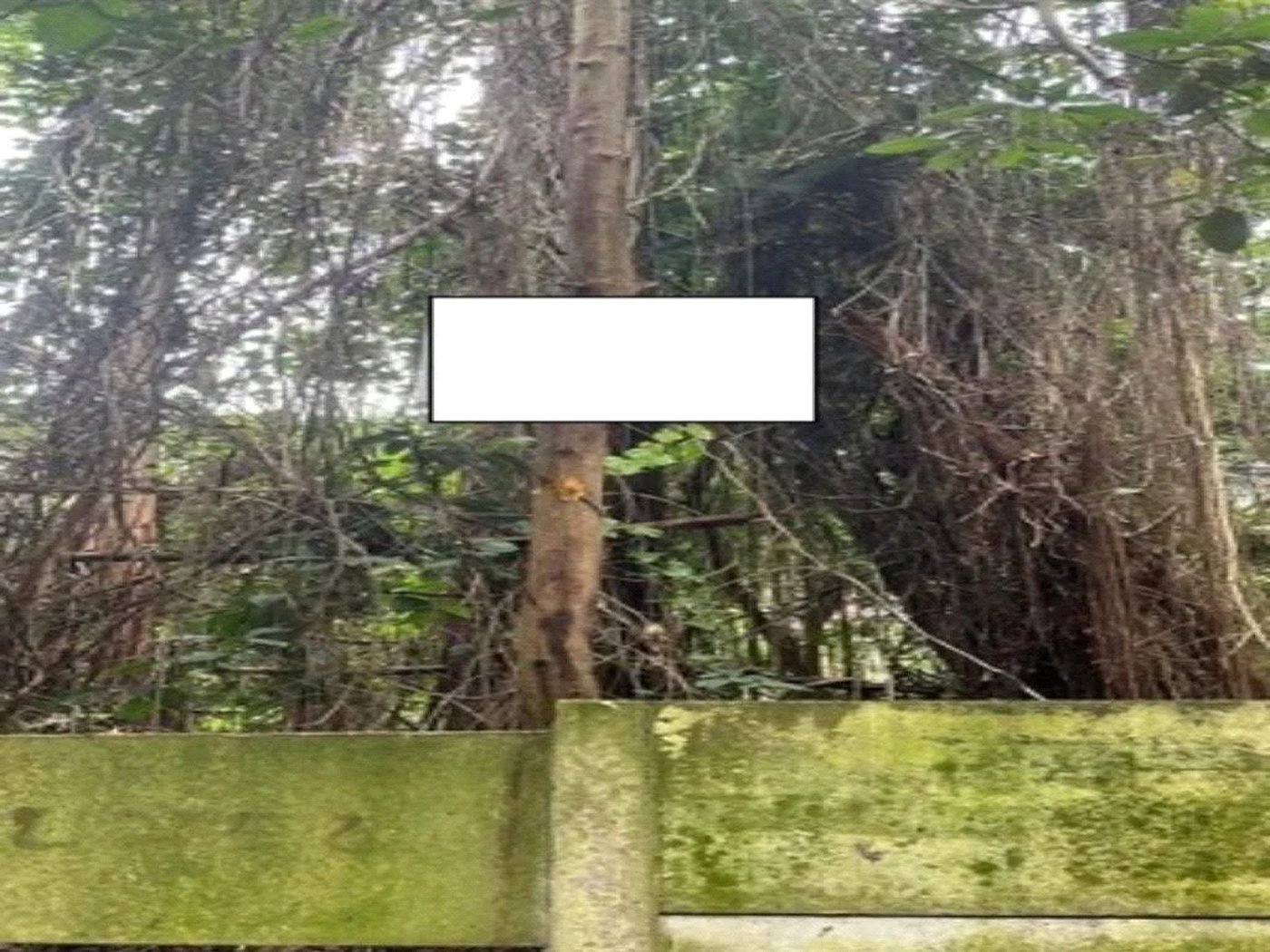 Terreno à venda em Jardim Ampliação, São Paulo, SP