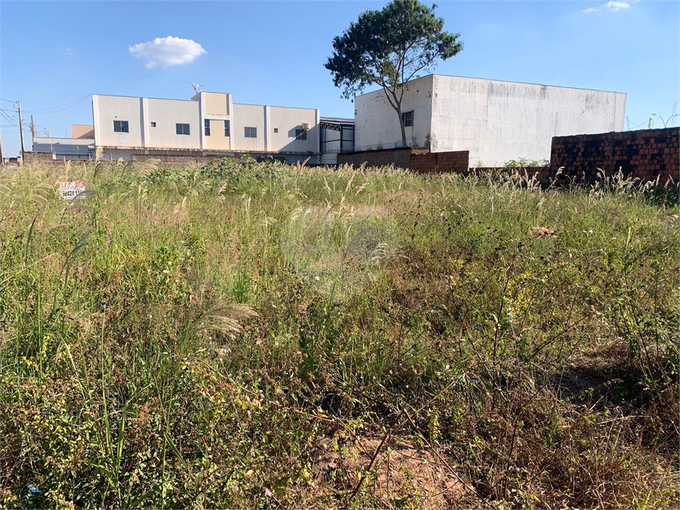 Terreno à venda em Setsul, Três Lagoas, MS