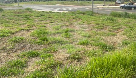 Terreno à venda no condomínio Paradise Garden, Mogi das Cruzes - SP