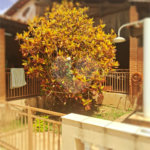 Casa à venda com 3 quartos, sendo 1 suíte, no condomínio Acmti - Colinas do Mosteiro, Terras de Itaici e Recanto dos Pássaros, Indaiatuba - SP
