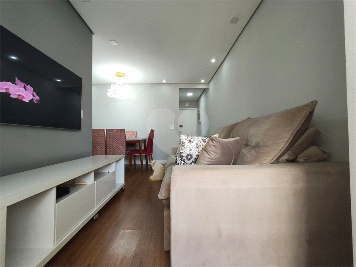 Apartamento à venda com 3 quartos, sendo 1 suíte,  em Vila Monumento, São Paulo, SP