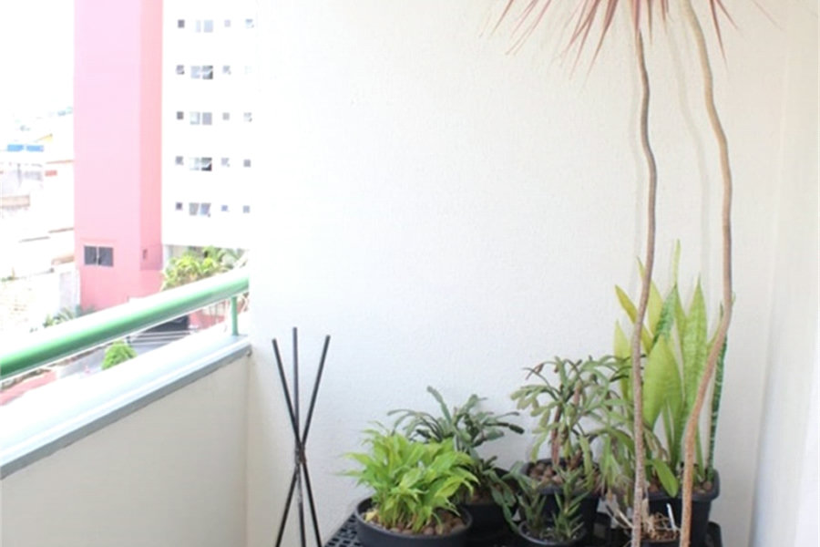 Apartamento à venda com 2 quartos em Casa Verde, São Paulo, SP