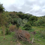 Casa à venda com 3 quartos, sendo 1 suíte, em Jardim Caparelli (mailasqui), São Roque, SP