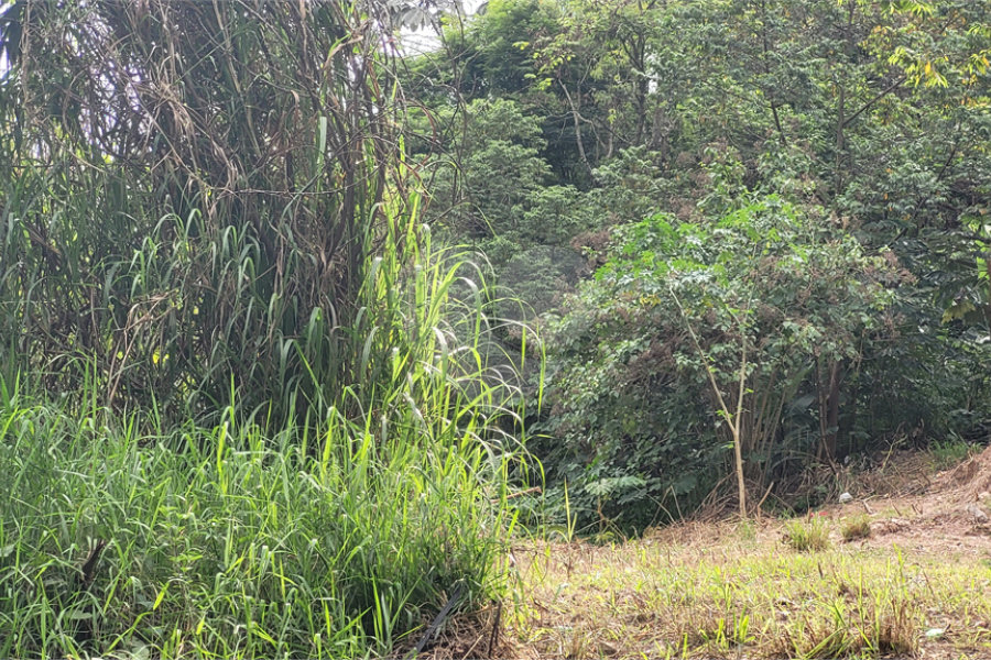 Terreno à venda em Barreiro, Mairiporã, SP