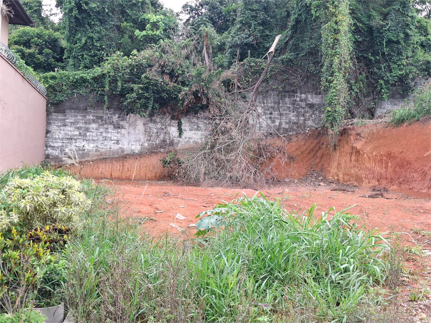 Terreno à venda em Vila Albertina, São Paulo, SP