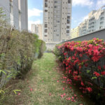 Apartamento à venda com 2 quartos, sendo 1 suíte, em Vila Mazzei, São Paulo, SP