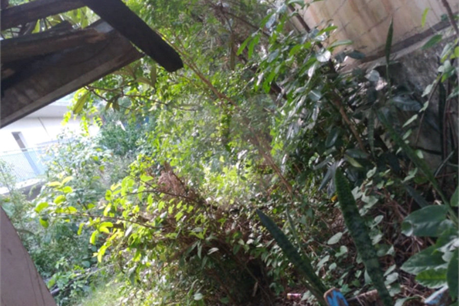 Terreno à venda em Jaçanã, São Paulo, SP