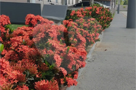 Apartamento à venda com 2 quartos em Jardim das Tulipas, Jundiaí, SP
