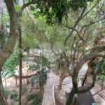 Apartamento à venda com 3 suítes em Mandaqui, São Paulo, SP