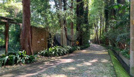 Terreno à venda no condomínio Chácara Flora, São Paulo - SP