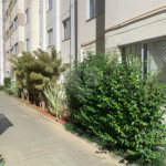 Apartamento à venda com 2 quartos em Pirituba, São Paulo, SP
