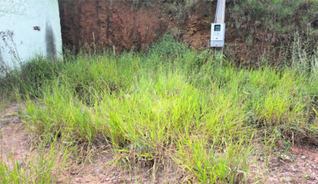 Terreno à venda em Terra Preta (terra Preta), Mairiporã, SP