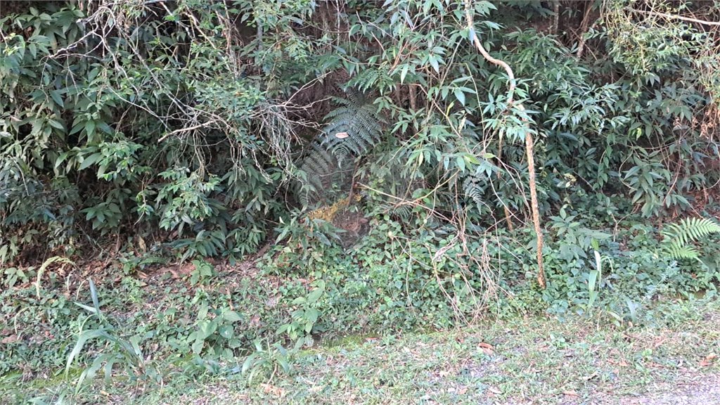 Terreno à venda no condomínio Associação Reserva das Hortênsias, Mairiporã - SP