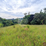Terreno à venda em Residencial Reserva da Mata, Itapetininga, SP