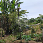 Chácara à venda com 2 quartos em Vila Caputera, Mogi das Cruzes, SP