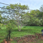 Terreno à venda em Marambaia, Vinhedo, SP