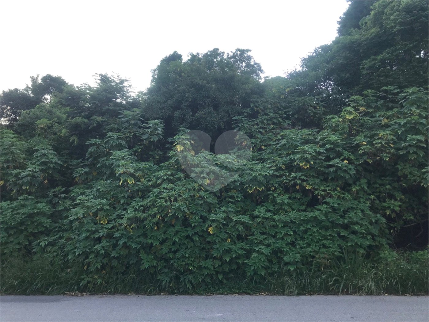 Terreno à venda em Serra da Cantareira, Mairiporã, SP