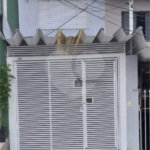 Casa à venda com 2 quartos em Saúde, São Paulo, SP