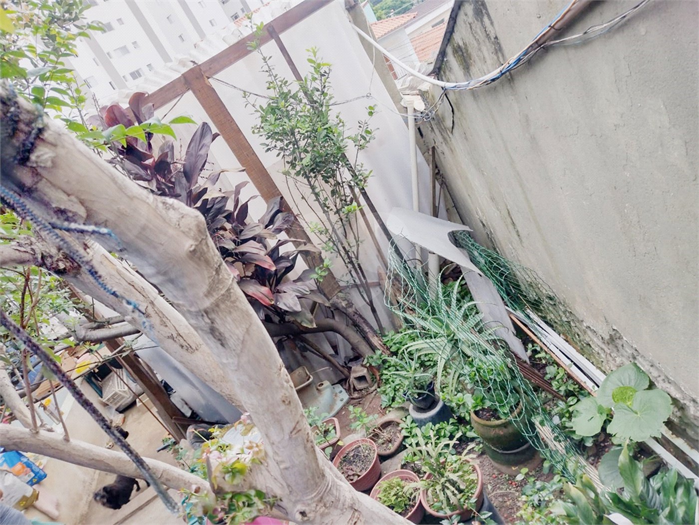Sobrado à venda com 3 quartos em Tremembé, São Paulo, SP