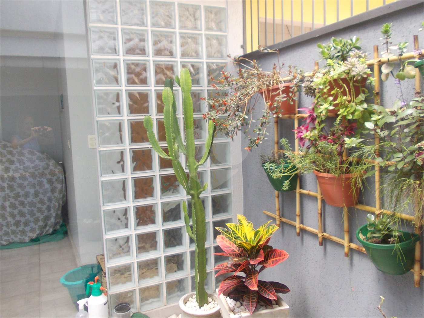 Sobrado à venda com 3 quartos, sendo 1 suíte, em Mandaqui, São Paulo, SP