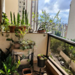 Apartamento à venda com 4 quartos, sendo 2 suítes,  em Vila Suzana, São Paulo, SP