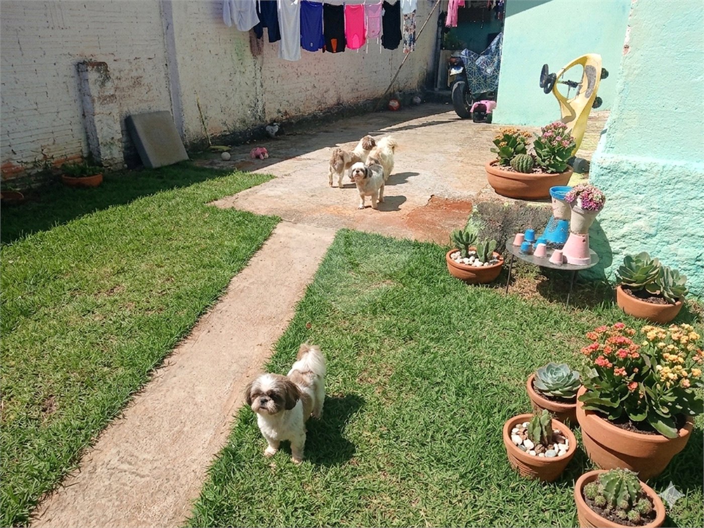 Casa à venda com 1 quarto em Vila Rio Branco, Itapetininga, SP