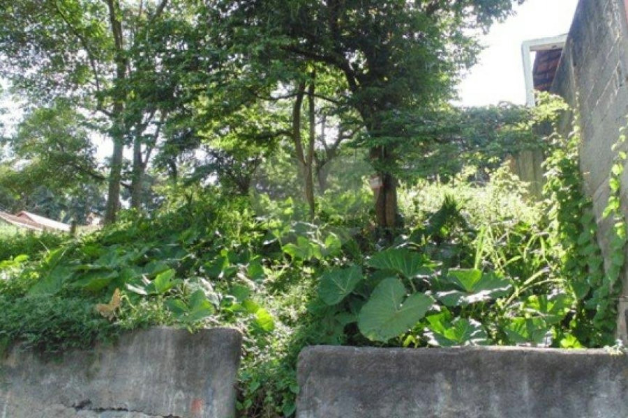 Terreno à venda em Vila Irmãos Arnoni, São Paulo, SP