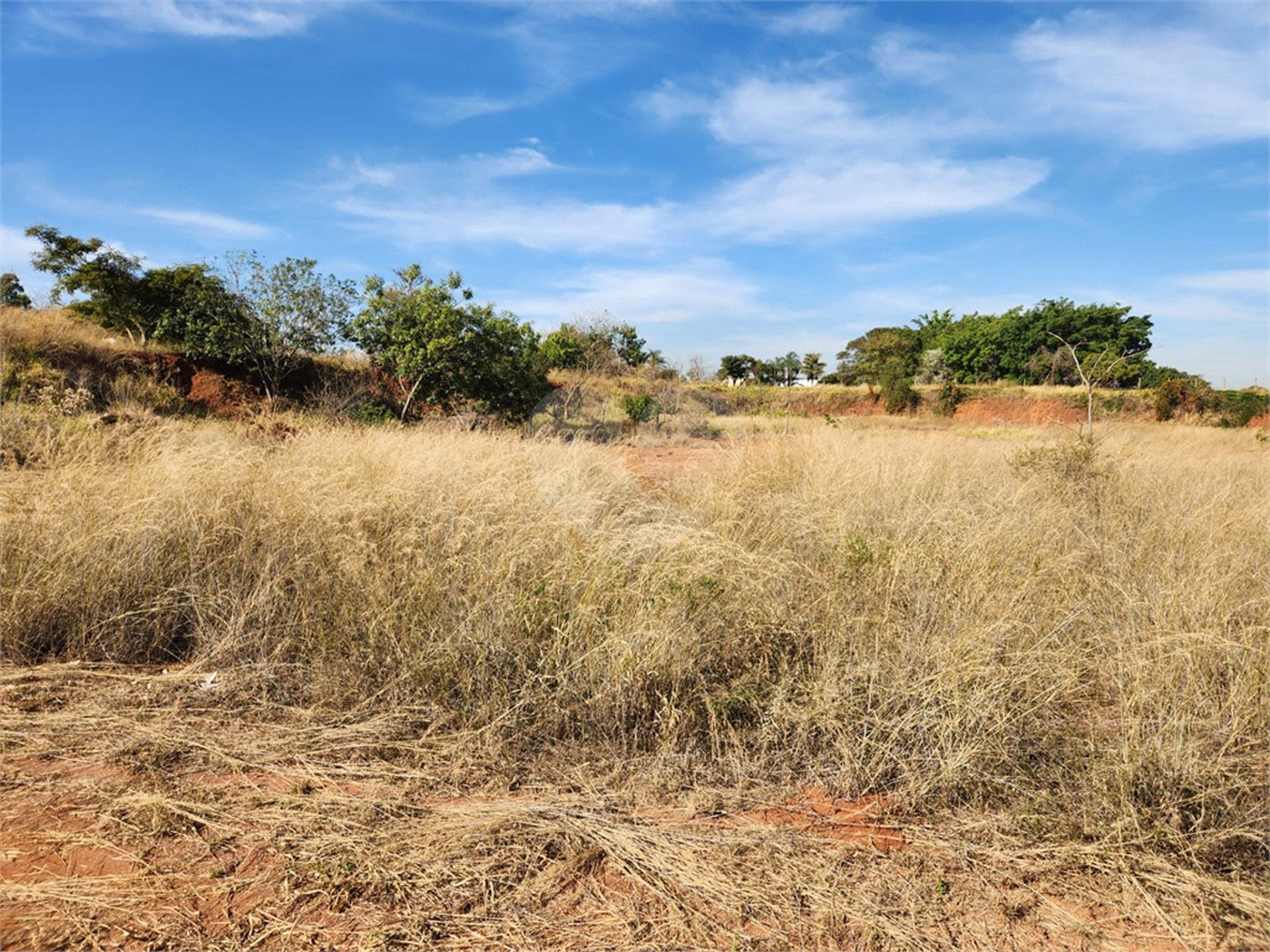 Área de Terra para alugar em Jardim Zavanella, Araraquara, SP