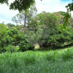 Terreno à venda em Marambaia, Vinhedo, SP