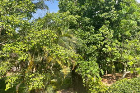 Chácara à venda com 3 quartos em Jardim Nova América, Louveira, SP