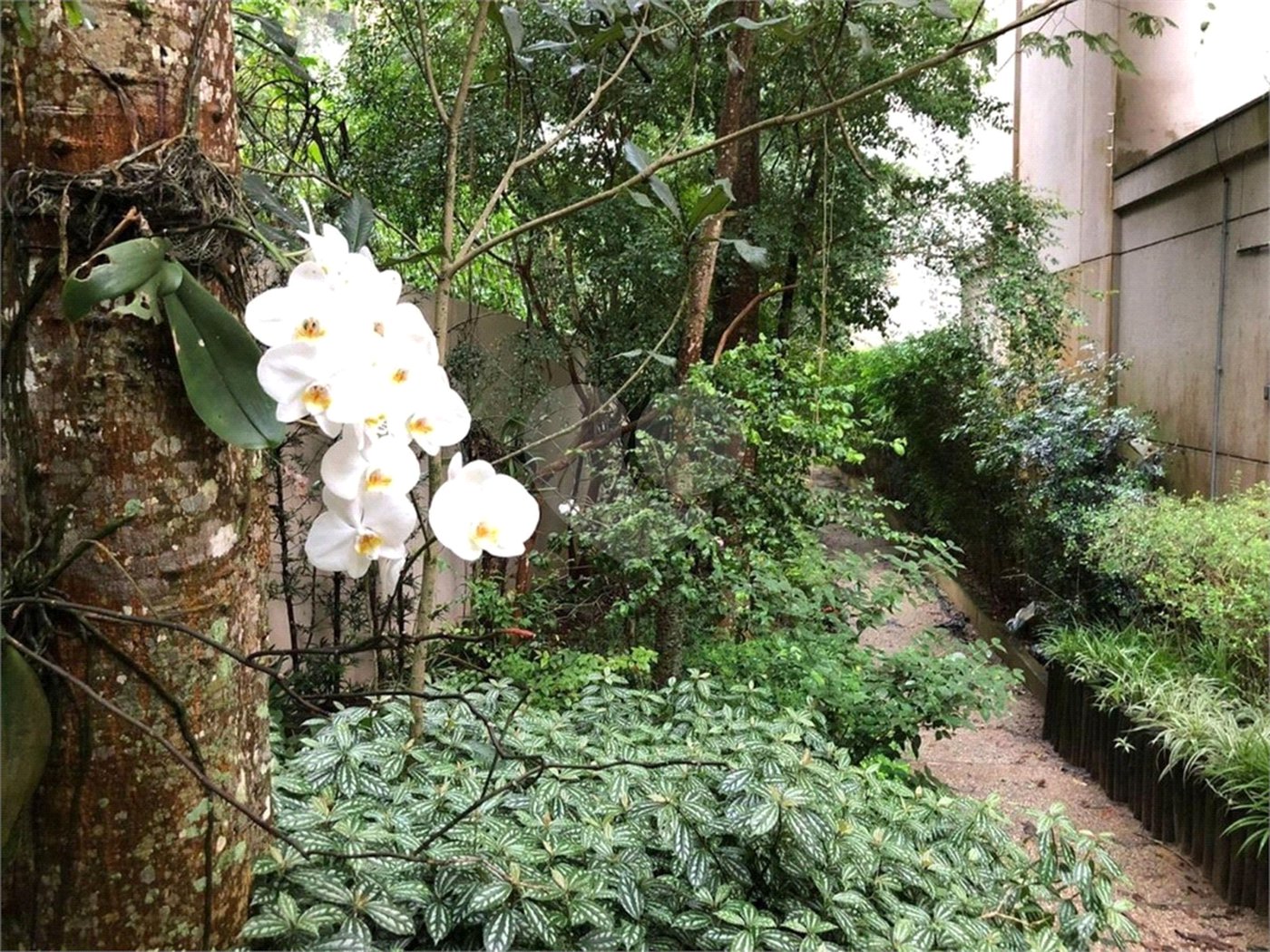 Apartamento à venda com 3 quartos, sendo 1 suíte, em Jardim Ampliação, São Paulo, SP