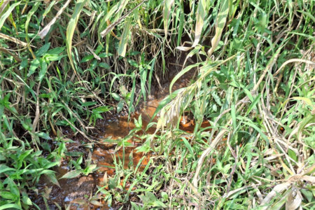 Terreno à venda em Chácara Fernão Dias, Bragança Paulista, SP