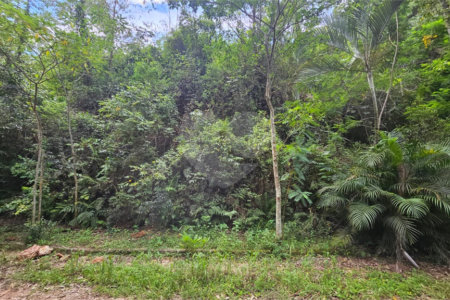 Terreno à venda em Chácara Recreio Lagoa dos Patos, Jundiaí, SP