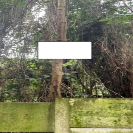 Terreno à venda em Jardim Ampliação, São Paulo, SP