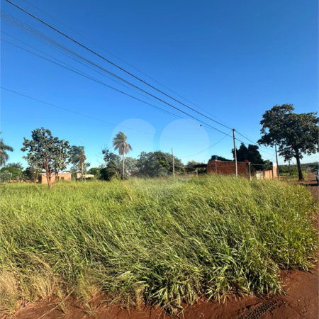 Terreno à venda em Pedro Juan Caballero, Amambay