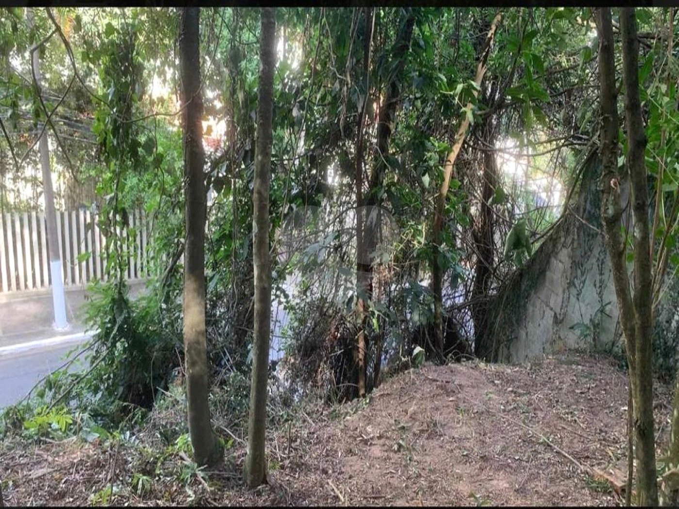 Terreno à venda em Jardim Peri Peri, São Paulo, SP